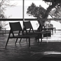 Ceccotti Collection 1