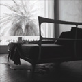 Ceccotti Collection 2