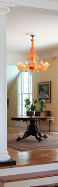 Interior Design by Georgigreghome, Auckland
